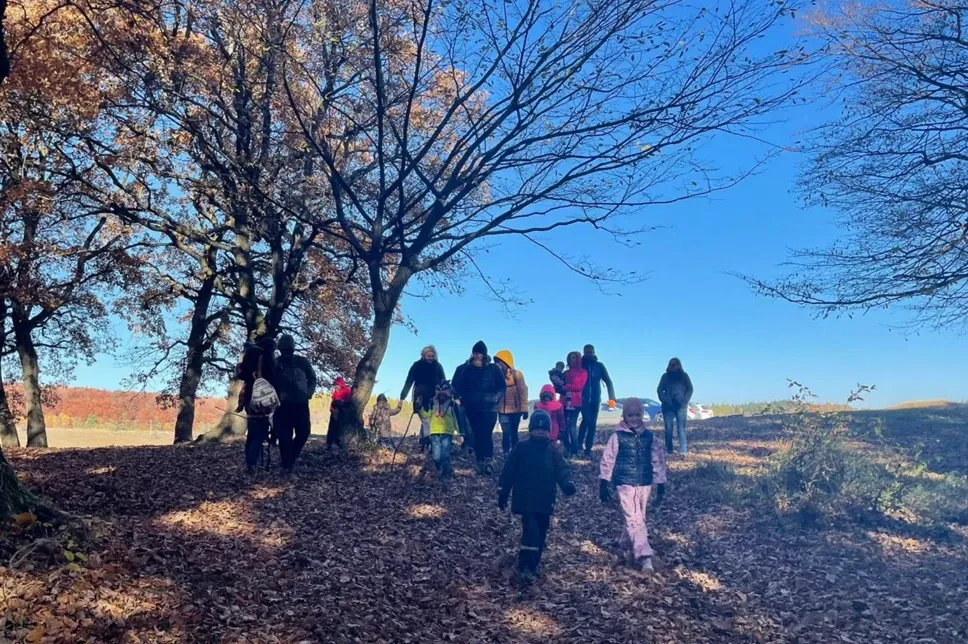 Families walking together through autumn leaves under tall trees on a sunny community outing